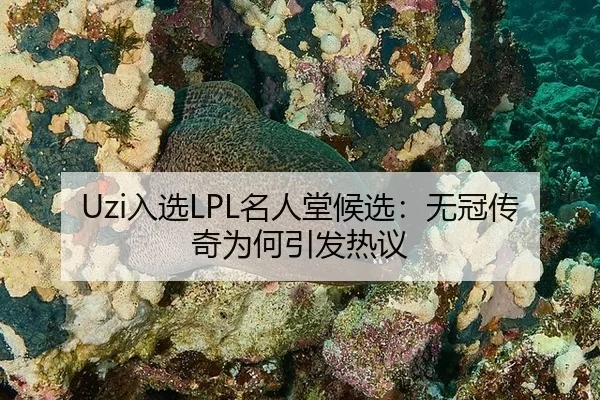 ru-xuan-ming-ren-tang-hou-xuan-wu-guan-chuan-qi-wei-he-yin-fa-re-yi-2-871.jpg